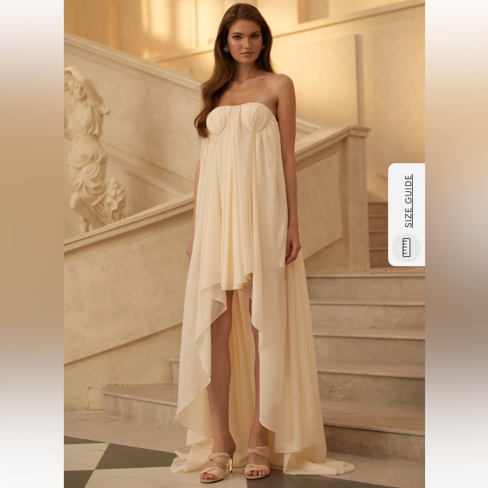 NWT MISS ROSIER Anneli Biege Mullet Chiffon Midi Dress- Small